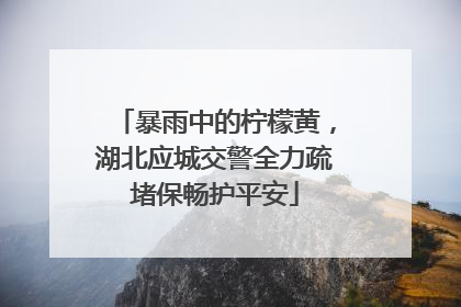 暴雨中的柠檬黄，湖北应城交警全力疏堵保畅护平安