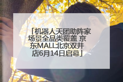 机器人天团助阵家场景全品类覆盖 京东MALL北京双井店6月14日启幕