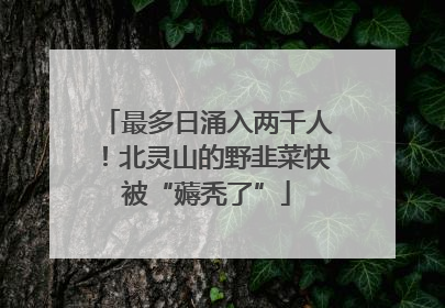 最多日涌入两千人！北灵山的野韭菜快被“薅秃了”