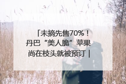未摘先售70%！丹巴“美人脆”苹果尚在枝头就被预订｜长征路上看四川