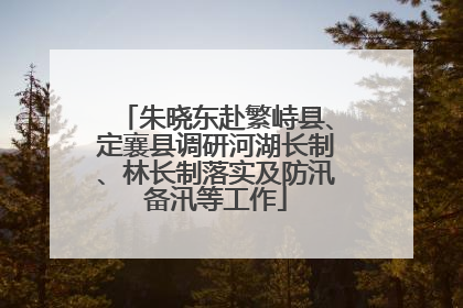 朱晓东赴繁峙县、定襄县调研河湖长制、林长制落实及防汛备汛等工作