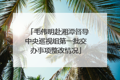 毛伟明赴湘潭督导中央巡视组第一批交办事项整改情况