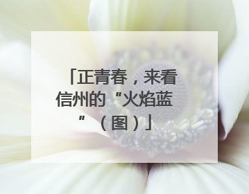 正青春，来看信州的“火焰蓝”（图）
