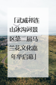 武威祁连山冰沟河景区第二届马兰花文化嘉年华启幕