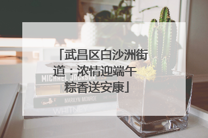 武昌区白沙洲街道：浓情迎端午 粽香送安康