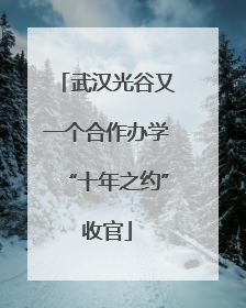 武汉光谷又一个合作办学“十年之约”收官