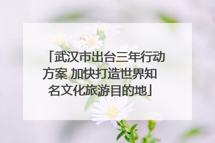 武汉市出台三年行动方案 加快打造世界知名文化旅游目的地