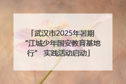 武汉市2025年暑期“江城少年国安教育基地行” 实践活动启动
