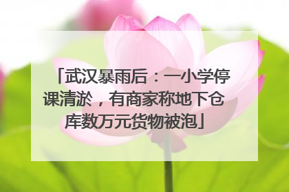 武汉暴雨后：一小学停课清淤，有商家称地下仓库数万元货物被泡