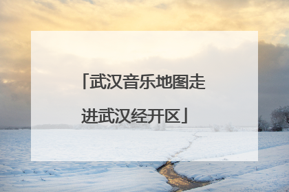 武汉音乐地图走进武汉经开区