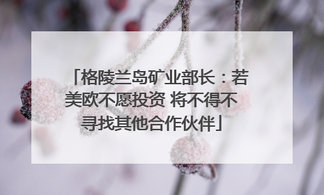 格陵兰岛矿业部长：若美欧不愿投资 将不得不寻找其他合作伙伴
