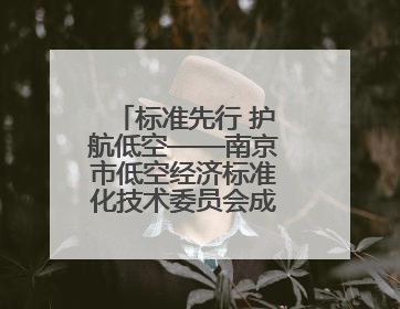 标准先行 护航低空——南京市低空经济标准化技术委员会成立大会召开