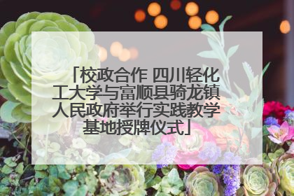 校政合作 四川轻化工大学与富顺县骑龙镇人民政府举行实践教学基地授牌仪式