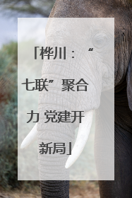 桦川：“七联”聚合力 党建开新局