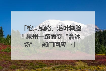榕果铺路、落叶糊脸！泉州一路面变“溜冰场”，部门回应→