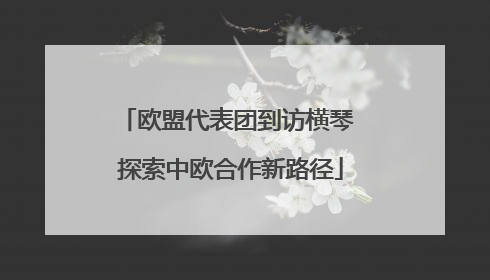 欧盟代表团到访横琴 探索中欧合作新路径