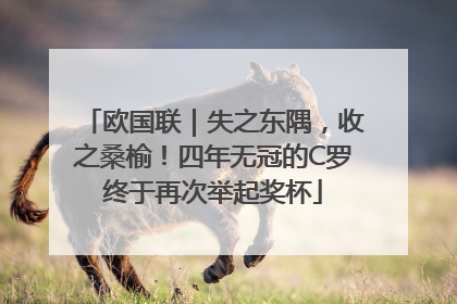欧国联｜失之东隅，收之桑榆！四年无冠的C罗终于再次举起奖杯