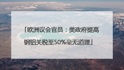 欧洲议会官员：美政府提高钢铝关税至50%毫无道理