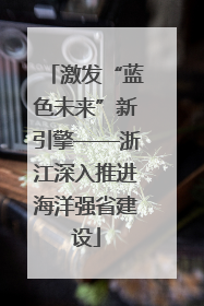 激发“蓝色未来”新引擎——浙江深入推进海洋强省建设