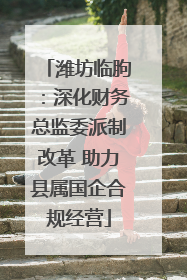潍坊临朐：深化财务总监委派制改革 助力县属国企合规经营