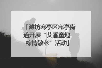潍坊寒亭区寒亭街道开展“艾香童趣·粽情敬老”活动