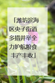 潍坊滨海区央子街道多措并举全力护航粮食丰产丰收