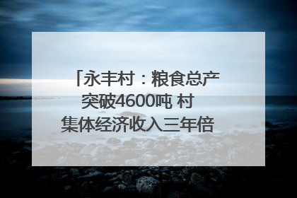 永丰村：粮食总产突破4600吨 村集体经济收入三年倍增｜牵挂的村