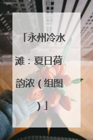 永州冷水滩：夏日荷韵浓（组图）