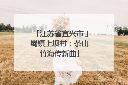 江苏省宜兴市丁蜀镇上坝村：茶山竹海传新曲