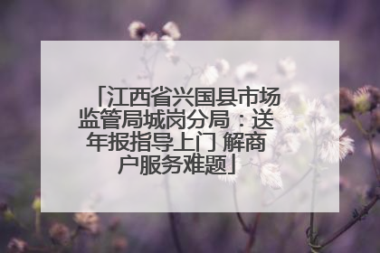 江西省兴国县市场监管局城岗分局：送年报指导上门 解商户服务难题