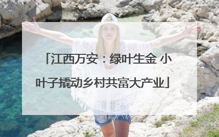 江西万安：绿叶生金 小叶子撬动乡村共富大产业