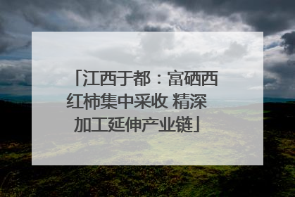 江西于都：富硒西红柿集中采收 精深加工延伸产业链