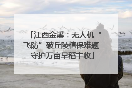 江西金溪：无人机“飞防”破丘陵植保难题 守护万亩早稻丰收
