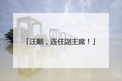 汪顺，连任副主席！