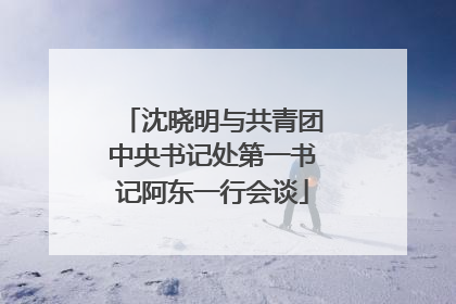 沈晓明与共青团中央书记处第一书记阿东一行会谈