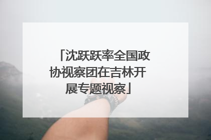 沈跃跃率全国政协视察团在吉林开展专题视察