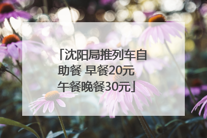 沈阳局推列车自助餐 早餐20元午餐晚餐30元