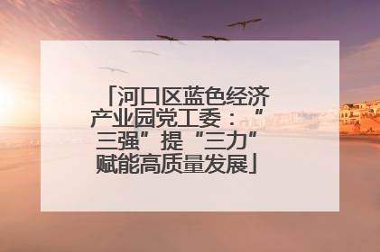 河口区蓝色经济产业园党工委：“三强”提“三力”赋能高质量发展