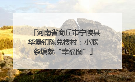 河南省商丘市宁陵县华堡镇陈兑楼村：小藤条编就“幸福图”