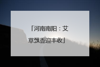 河南南阳：艾草飘香迎丰收