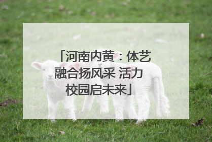 河南内黄：体艺融合扬风采 活力校园启未来