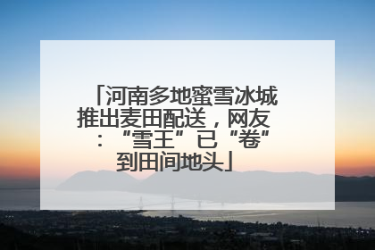 河南多地蜜雪冰城推出麦田配送，网友：“雪王”已“卷”到田间地头
