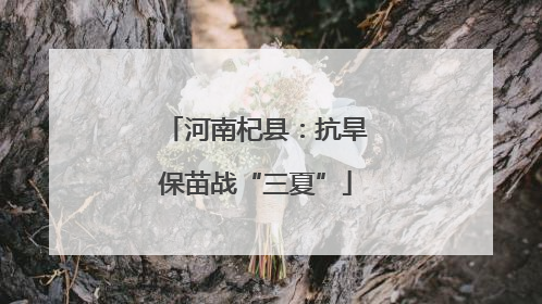 河南杞县：抗旱保苗战“三夏”