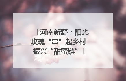 河南新野：阳光玫瑰“串”起乡村振兴“甜蜜链”