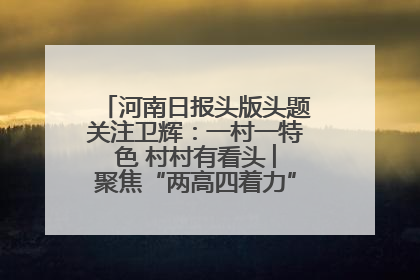 河南日报头版头题关注卫辉：一村一特色 村村有看头 ︳聚焦“两高四着力”·一“县”观察