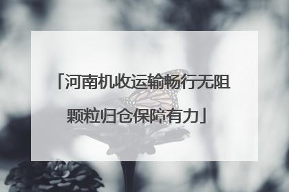 河南机收运输畅行无阻 颗粒归仓保障有力