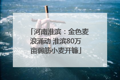 河南淮滨：金色麦浪涌动 淮滨80万亩弱筋小麦开镰