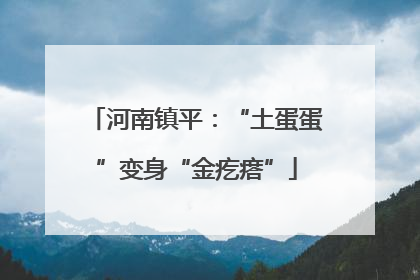 河南镇平：“土蛋蛋”变身“金疙瘩”