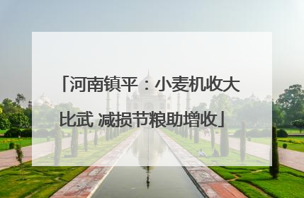 河南镇平：小麦机收大比武 减损节粮助增收