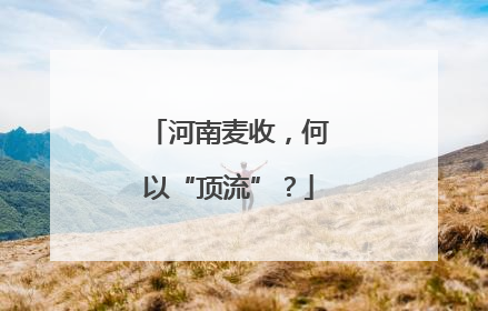 河南麦收，何以“顶流”？